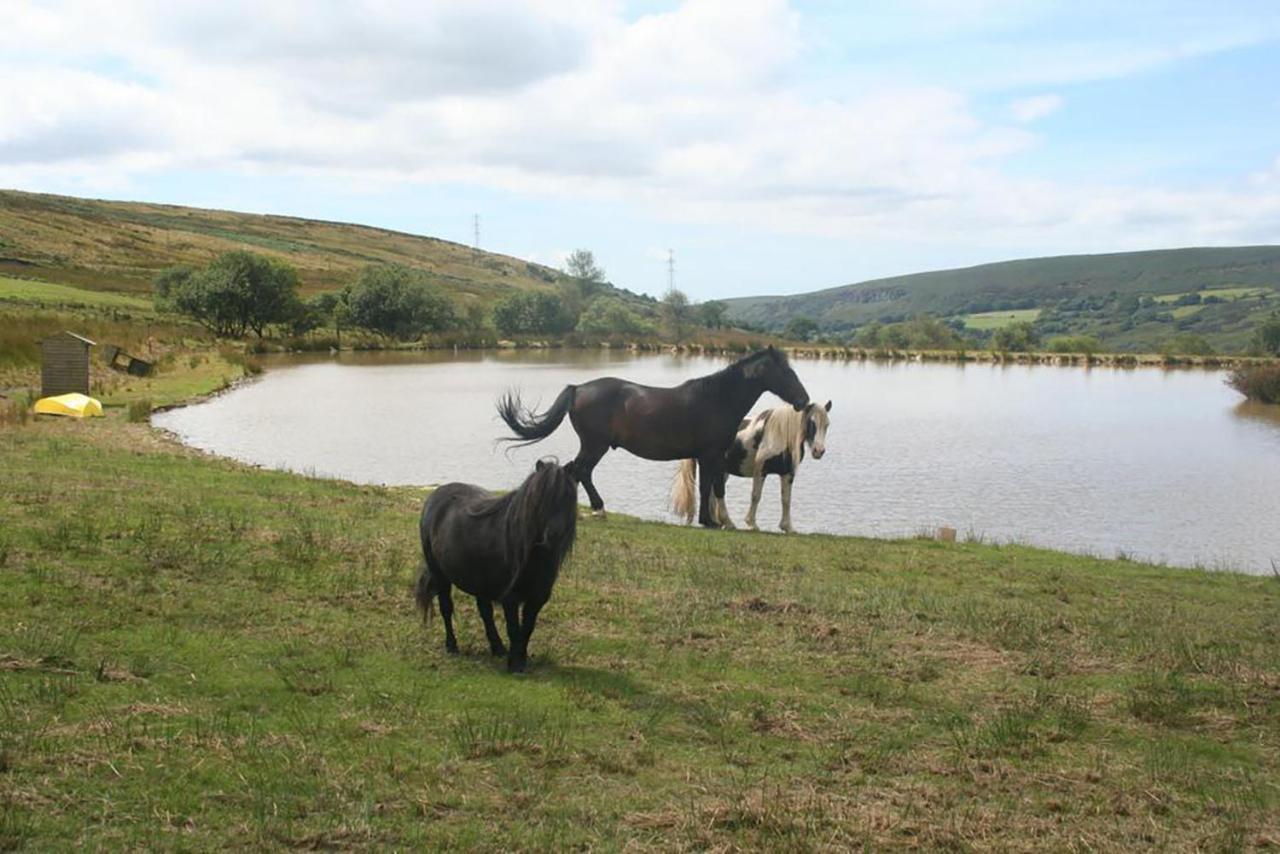 Barn Cottage - Farm Park Stay With Hot Tub Swansea Exterior foto